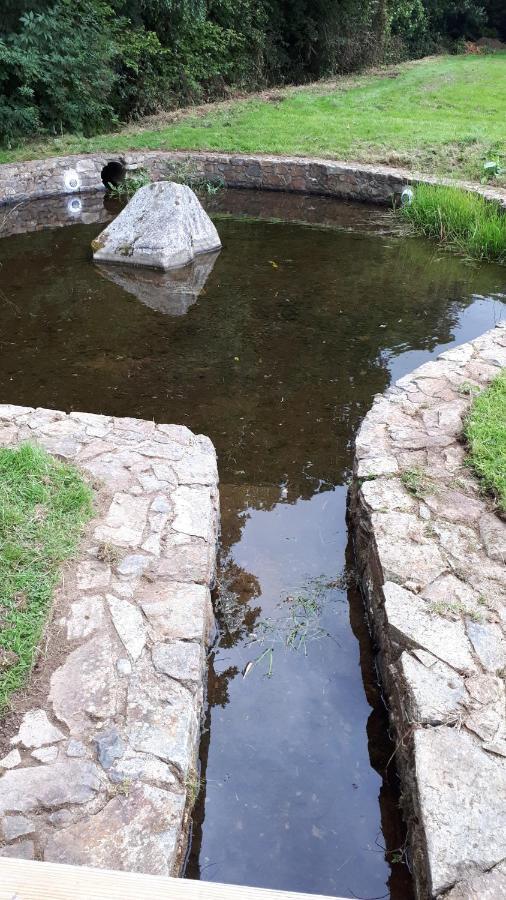 Birchdale House B&B Rathdrum Buitenkant foto