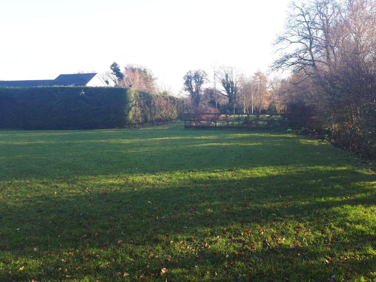 Birchdale House B&B Rathdrum Buitenkant foto